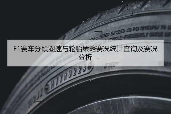 F1赛车分段圈速与轮胎策略赛况统计查询及赛况分析